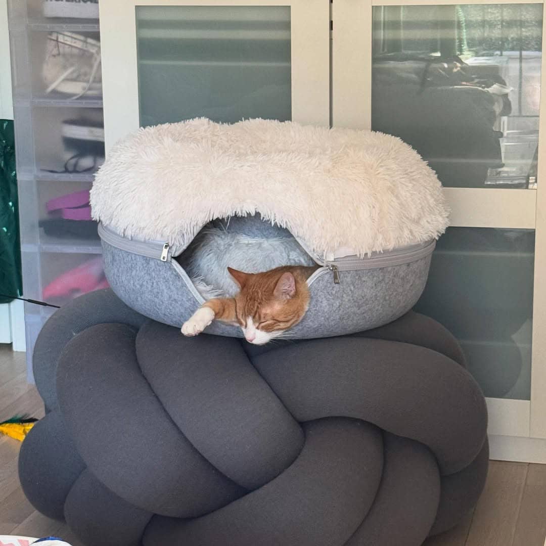 Cat 5